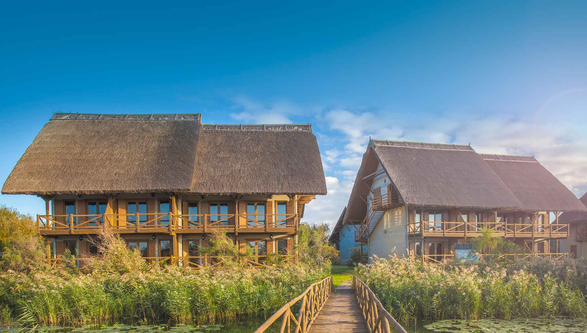 MINI-MBA în Ospitalitate · 25–31 octombrie 2026 · Delta Dunării